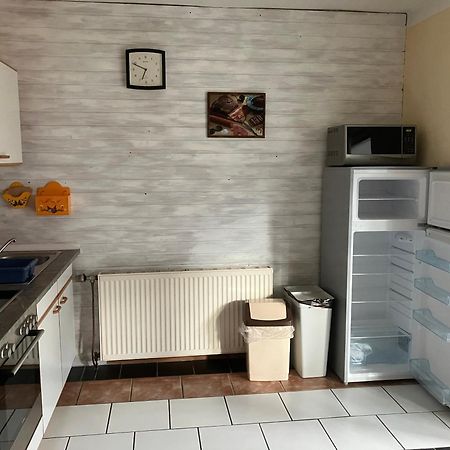 Ferienwohnung Haus Cerny 바드고이세른 외부 사진