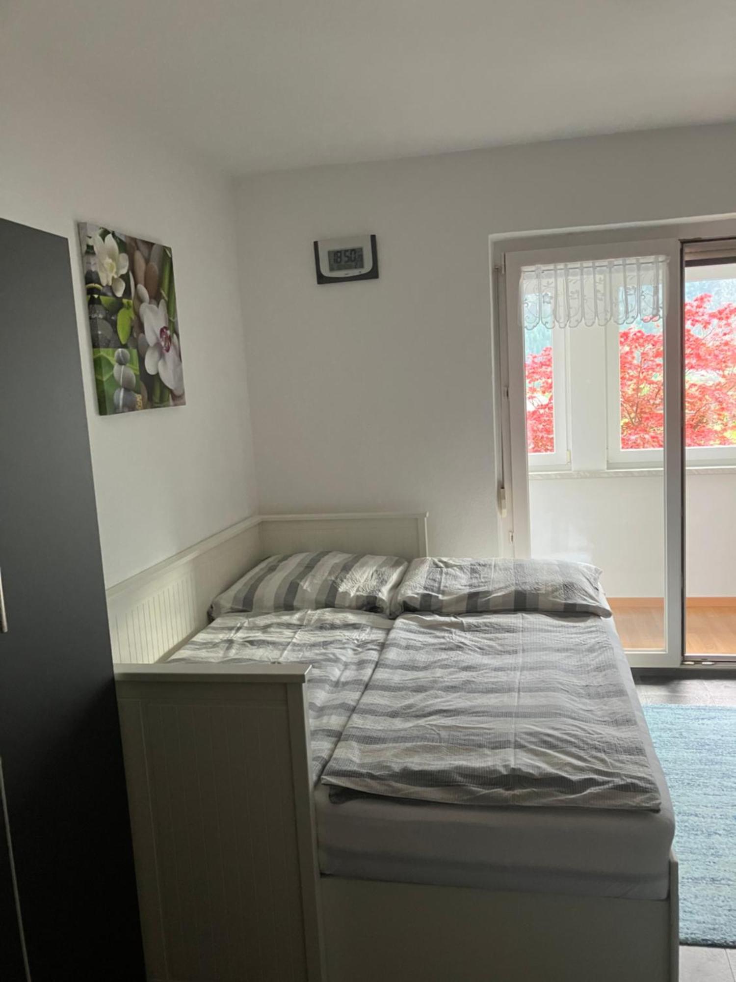 Ferienwohnung Haus Cerny 바드고이세른 외부 사진